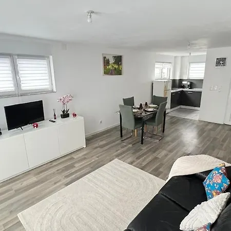 公寓 Moderne Au Coeur De L'alsace *